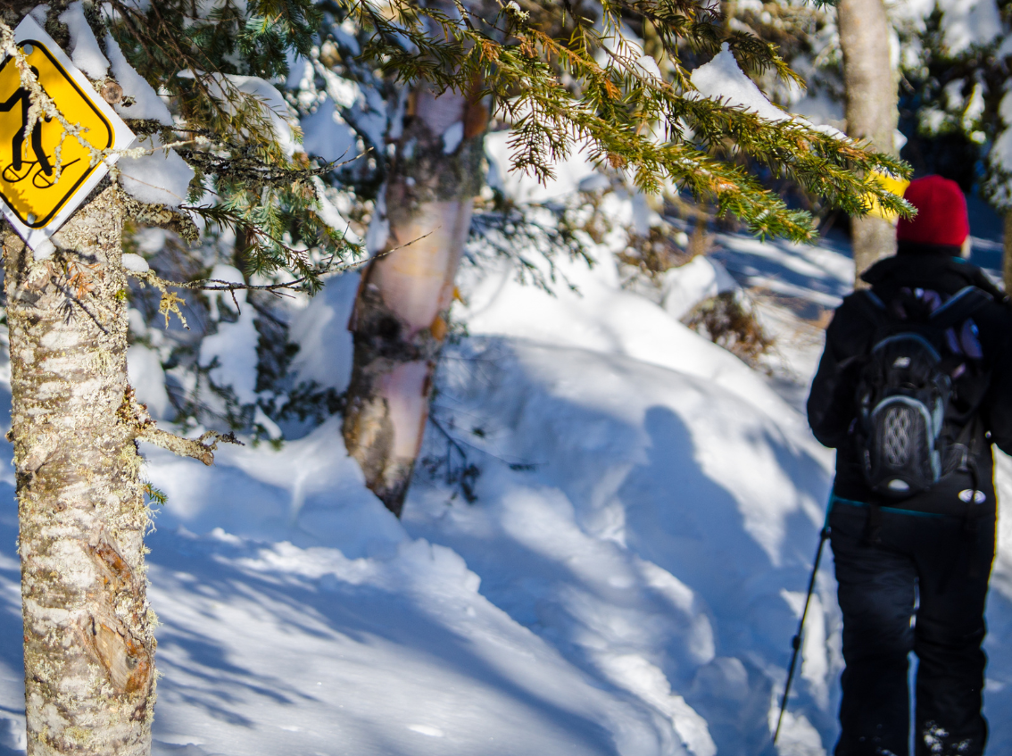 Cabane raquettes Pra Loup